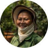 Vườn sầu riêng - Bình Thuận